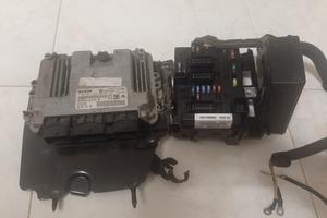 Pegeout 206/306 HDi 110cv