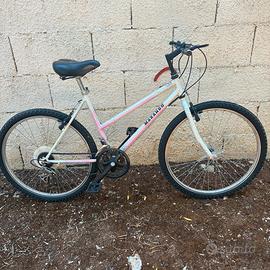 Mountan bike