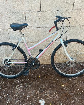 Mountan bike