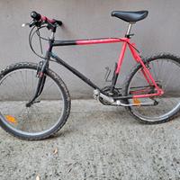 bicicletta mountain bike