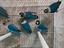 Immagine 2