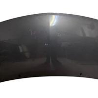 COFANO ANTERIORE RENAULT Twingo II serie (07>14)