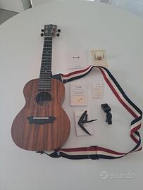 Ukulele Concerto Enya