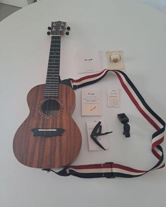 Ukulele Concerto Enya