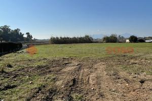 Terreno Agricolo Terracina [Cod. rif 3141908VCG]