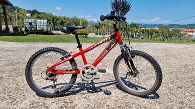 Bicicletta bambino