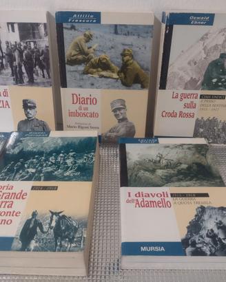 Lotto C: Libri-saggi I° Guerra Mondiale
