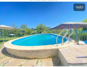 Affitare appartamento 700-980