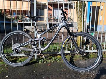 Telaio Transition Sentinel L