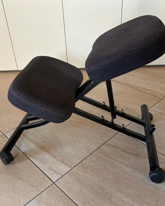 Coppia di Sedie Ergonomiche Posturali con Appoggio
