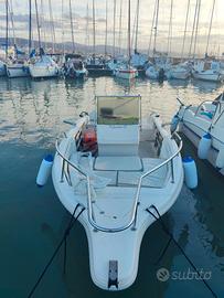 Mingolla fisherman20+ mercuri pro40cv