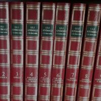 Enciclopedia degli animali