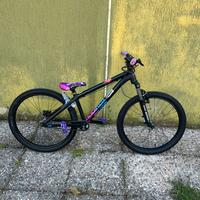 Ns bikes zircus