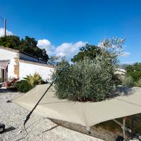 ombrello raccolta olive 