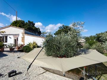 ombrello raccolta olive 