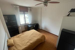 Camera Singola in Appartamento Condiviso