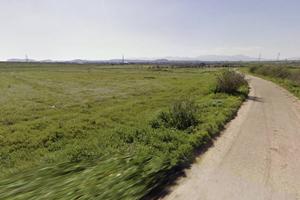 Terreno Agricolo - Settimo San Pietro