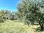 Immagine 11
