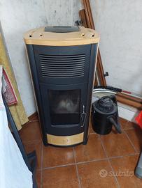 Idrostufa a pellet MCZ