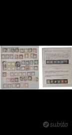 ASI Province Napoletane Selezione nuovi e usati