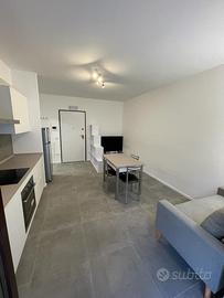 Appartamento bilocale con grande terrazza