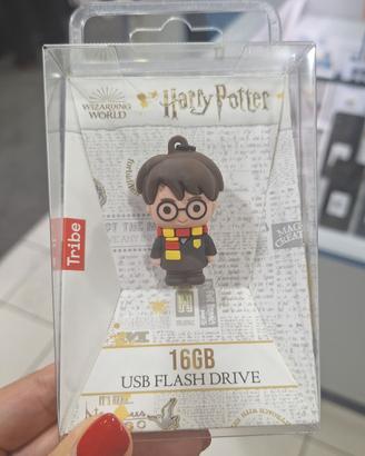 Chiavetta USB Harry Potter nuova 