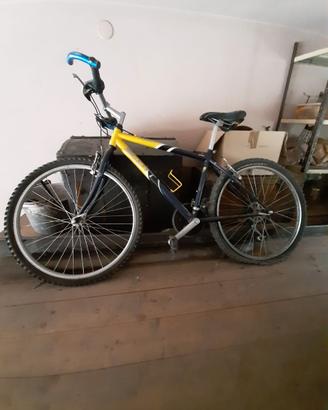 mountain bike