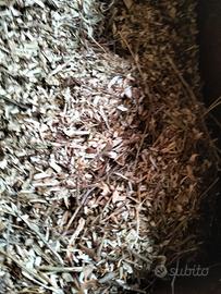 cippato per pacciamatura 