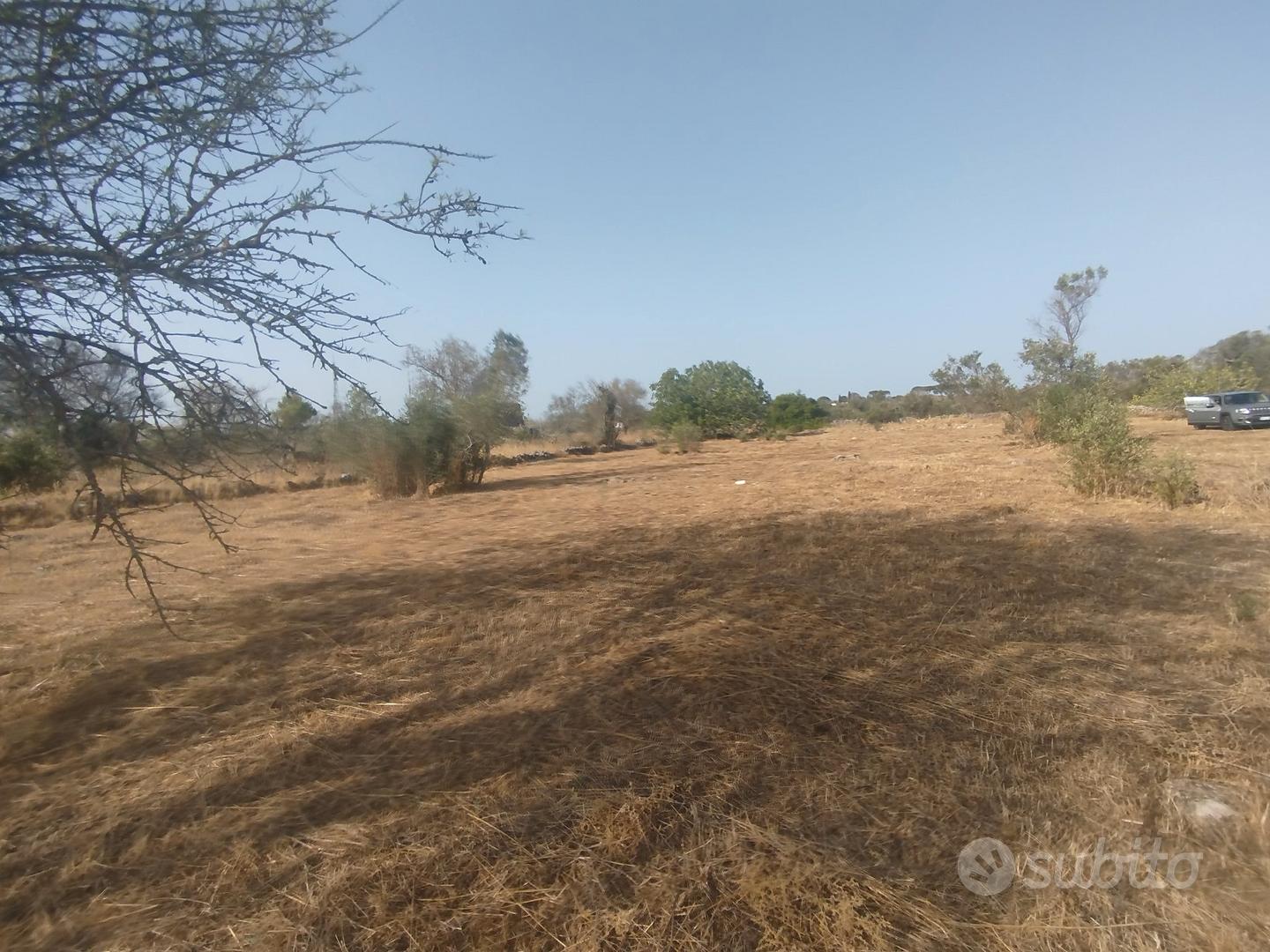 terreno agricolo zona Terrisi Parabita - Vista 5