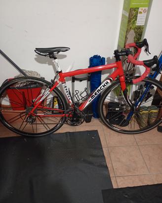 bici da corsa Eddy Merckx