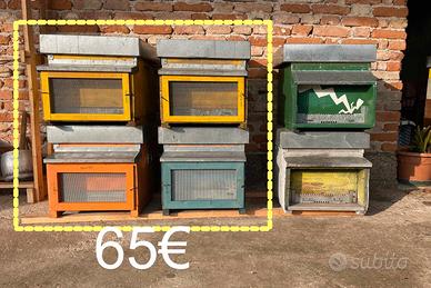 Arnia apicoltura DB 10 con telaini