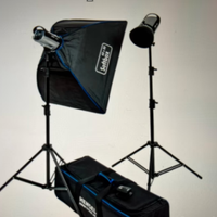 Kit Hensel Flash studio fotografico 2 torce 500