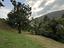 Immagine 26