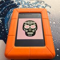 2 hard disk portatili 1tb+1tb