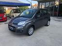 fiat-panda-1-2-gpl-69cv-anno-2018