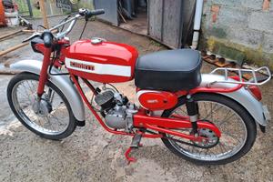 cimatti classic 50