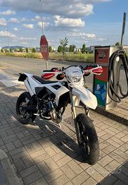 Beta rr 50 standard 2024 motard