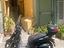 Immagine 1