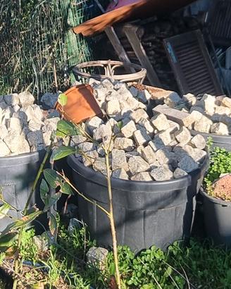 Sampietrini granito