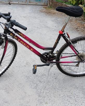 Mountain bike bicicletta donna ruote 26