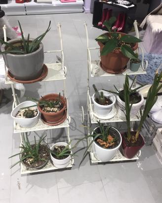 Mensoliera con piante