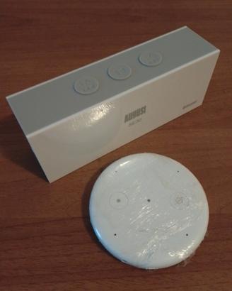 Mini cassa bluetooth più dischetto Alexa 