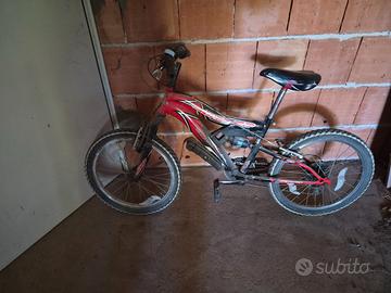 Bicicletta da bambino