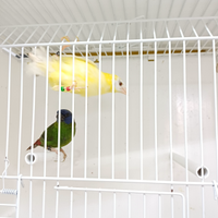 Diamante di kittlizt