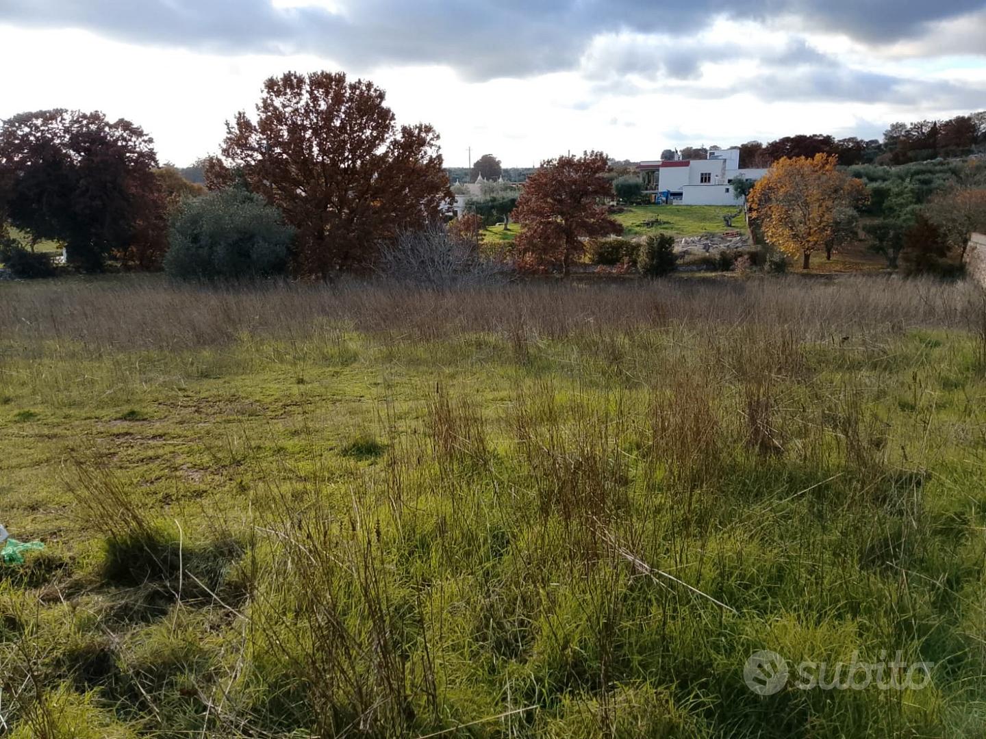 Terreno 2.260 mq - Locorotondo (Contrada Nunzio) - Vista 2