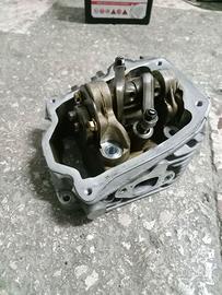 Testata liberty moc 125