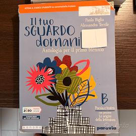 Il tuo sguardo domani B Le origini della lettera