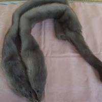 Stola doppia di visone maschio