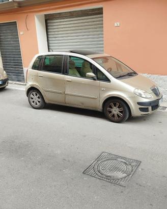 Lancia musa 2007