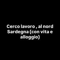 Cameriere , trasposto (ho la patente B)